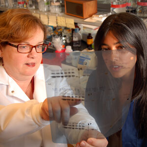 About Neurosciences NCSU
